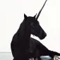 Silverbell